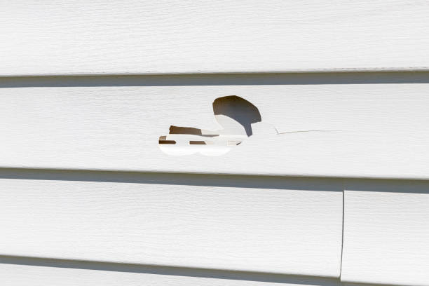 Affordable Siding Repair and Maintenance Services in Shelburn, IN