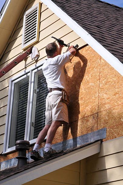 Best Insulated Siding Installation  in Shelburn, IN